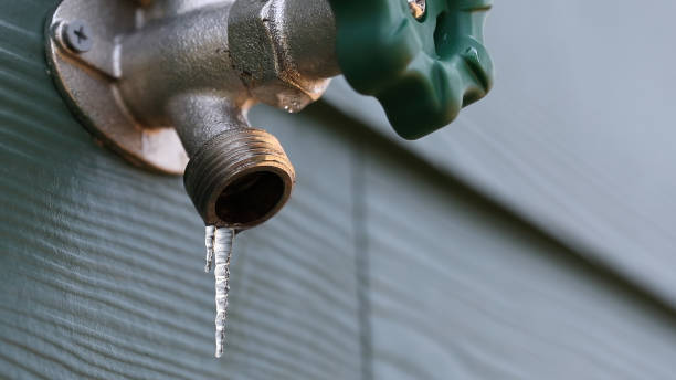 Best Plumbing Services Near Me  in Ocean View, DE